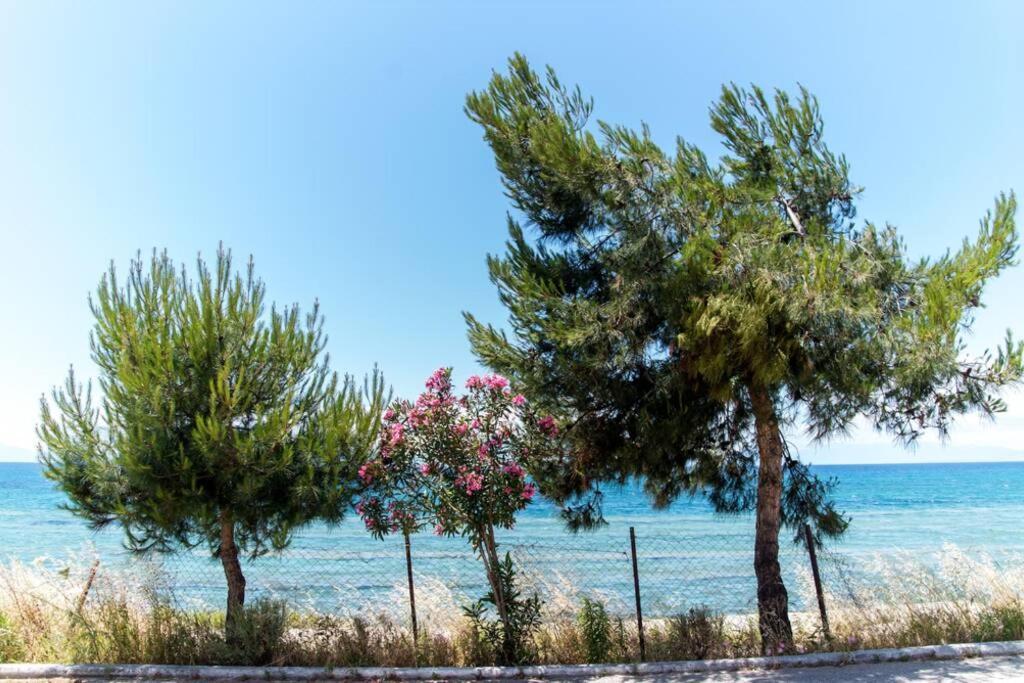 Seafront 2 Bedrooms Apartment Néa Irákleia Eksteriør billede