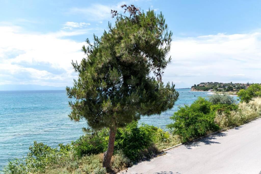 Seafront 2 Bedrooms Apartment Néa Irákleia Eksteriør billede